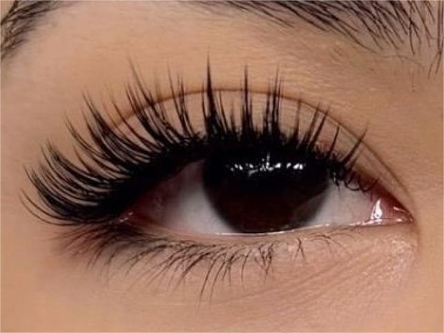 what are wet look lashes