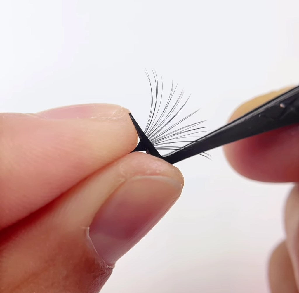 How To Make Promade Fans: Three Common Ways For Beginner Lash Techs ...